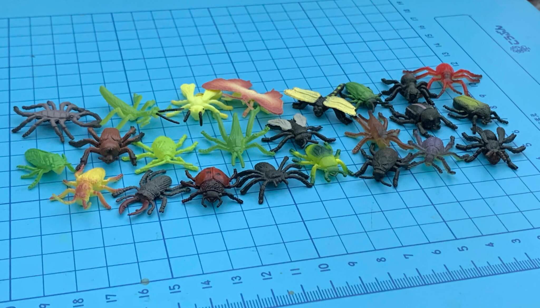 hexbug insects