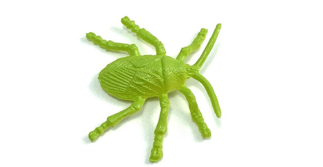 hexbug insects